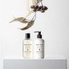4224 1 bondi wash baby wash