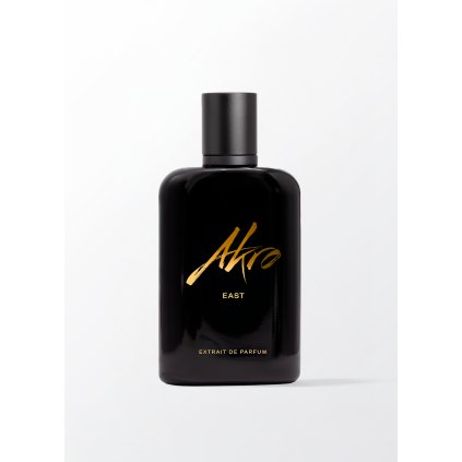 AK WEBSITE EAST 100 VIEW1