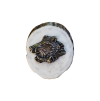 LP14.g