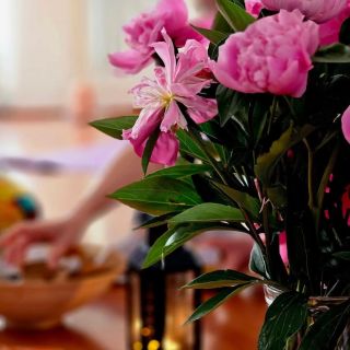 Spojení jógové terapie a kosmetiky mySoap, to je prostě balzám pro duši🤩😍 📷 jogínka Jarmila Satori jóga a jógové terapie...