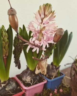 Krásné a pohodové Velikonoce Vám přeji😊