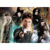 Puzzle Harry Potter - profesori
