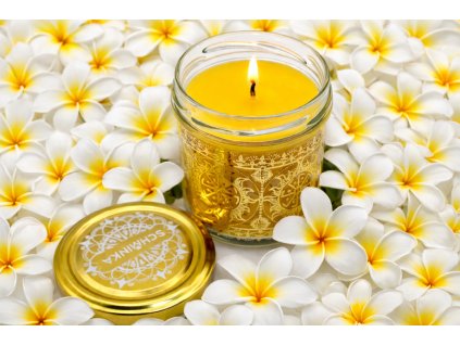 1819277c e608 478c a019 616cf8a406cc