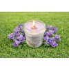 Jarní sójová svíčka Fialka