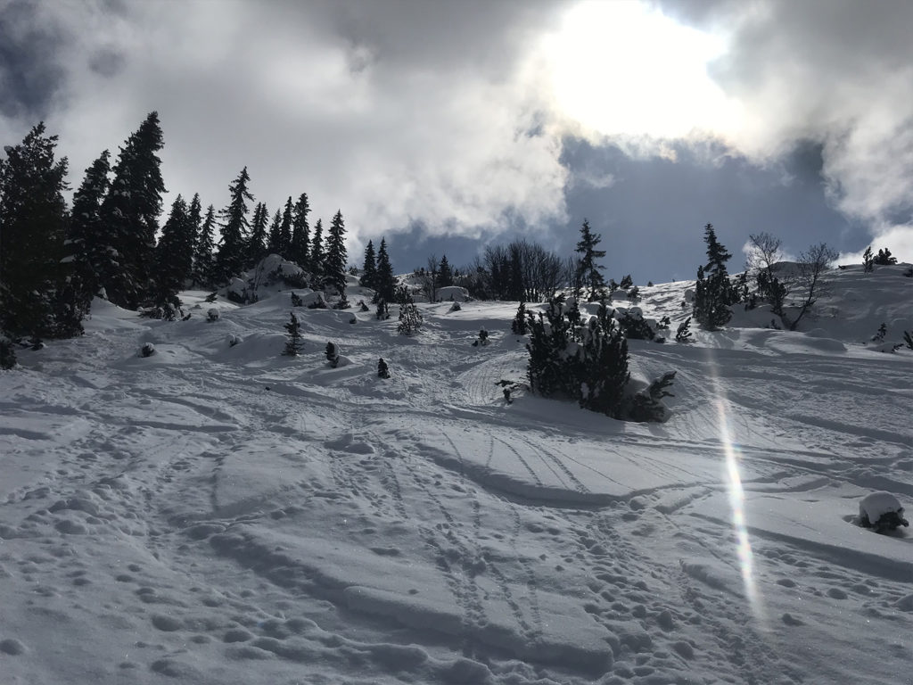 Freeride_OK_-1024x768