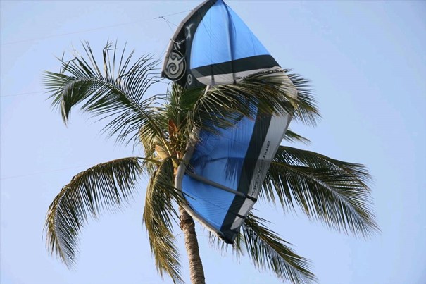 kite-na-strome