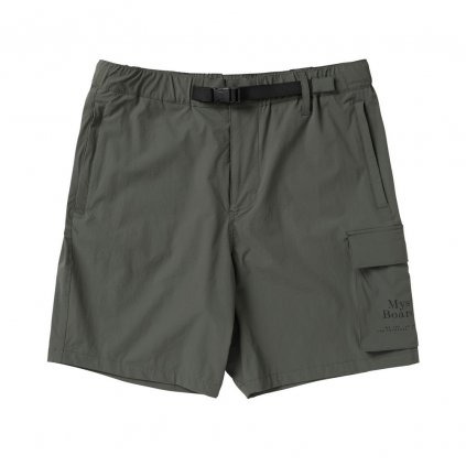 Pánské boardshorty Meridian Hybrid Short, Brave Green