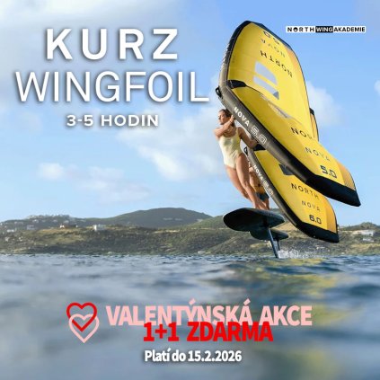 Wing kurz 2025 basic Valentyn