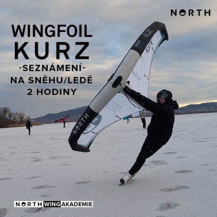 Wing kurz 2024 01 led