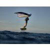 Wing Nova PRO 2024, White