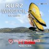 Wing kurz 2025 basic Valentyn