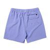 Pánské boardshorty Brand Structure Swim, Iris Blue (Velikost M)
