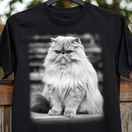 downloaded file (26)