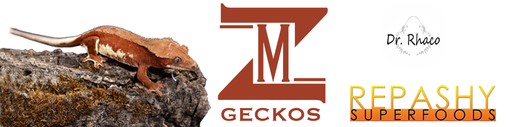 MZ Gecko