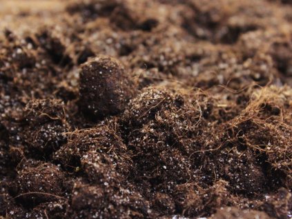 Terarijny substrat (5)