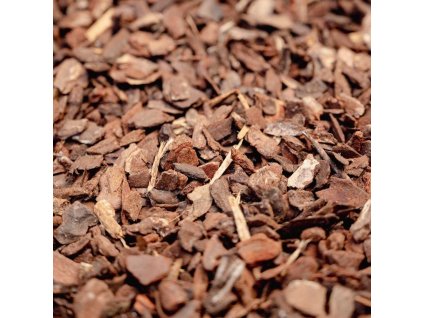 2ea1d6d85e824b0a49a253ccd033f868 dsc 0863