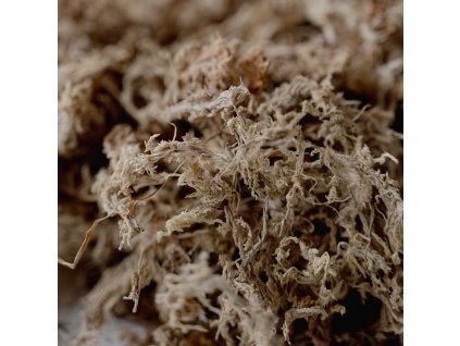 7166bf1b1867654851719c6dc5bbbe03 dsc 2529