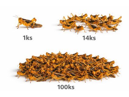 Image 22. 12. 2025, 18 01 04