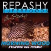 morningwood