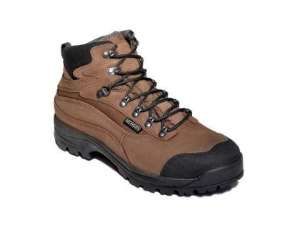 bota 2