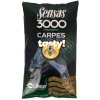 Krmení 3000 Carp Tasty Honey (kapr med) 1kg