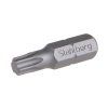 Bit STAHLBERG T 8 25mm S2