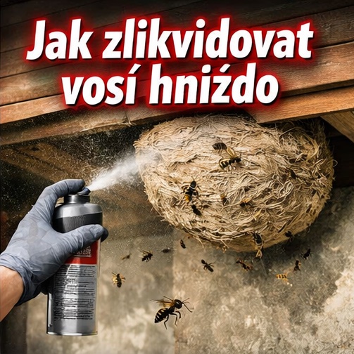 🐝 Jak zlikvidovat vosí hnízdo bezpečně a účinně (návod krok za krokem)