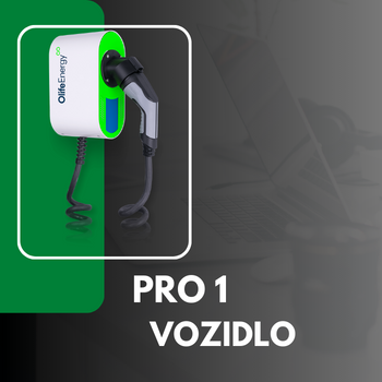 Pro 1 vozidlo