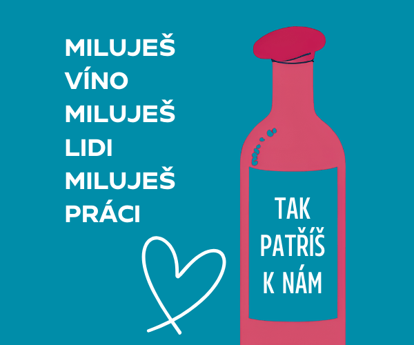 Hledáme parťáka do vinárny Na břehu Rhôny – Výtoň!