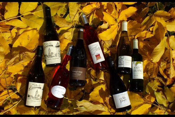 Babí léto na Rhôně