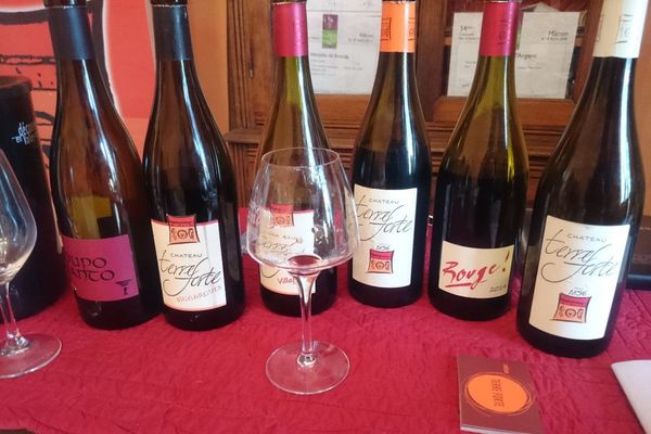 Degustace s vinaři: Château TERRE FORTE – Francouzská