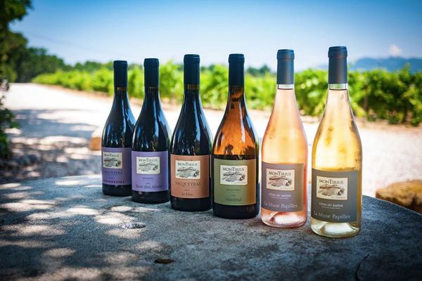 Degustace Domaine Montirius