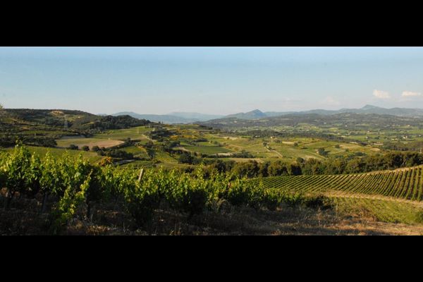 Cesta za vínem do Provence