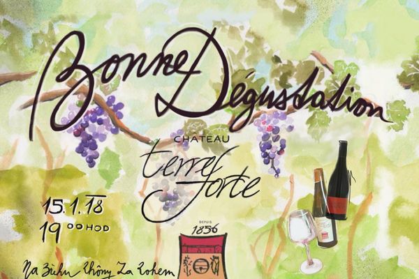 Bonne Dégustation: Château Terre Forte