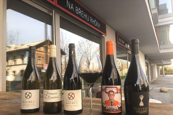 Energie a spirit naturálních vín