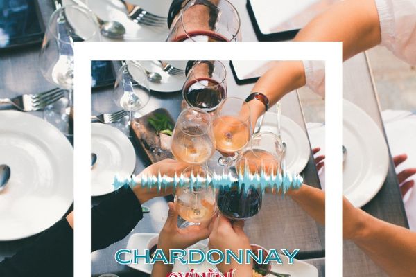 Ovínění – tentokrát o Chardonnay!