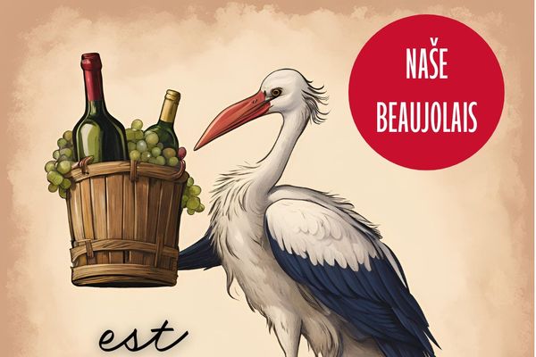 BEAUJOLAIS NOUVEAU a MLADÁ VÍNA