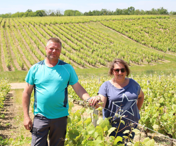 Domaine du Tartemain