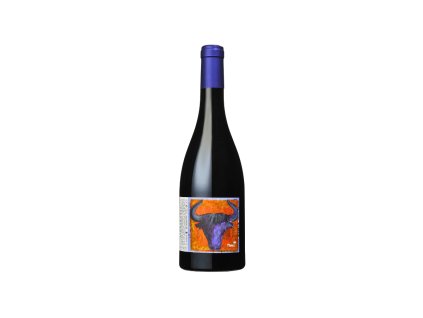 Les Vignerons d'Estezargues d’Andézon CDRV Signargues Rouge