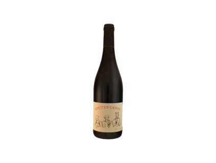 Domaine Thomas Frissant Tout en Canon Gamay Rouge 1200x800 (1)