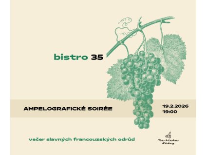 600x500 px WWW + Google (1)