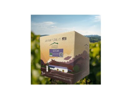 wolt 1200x800 (1) (1)