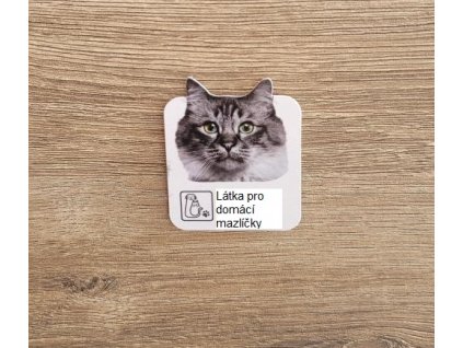 kočička00