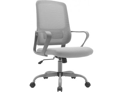 SALOMO TYP2 NEW siva hl