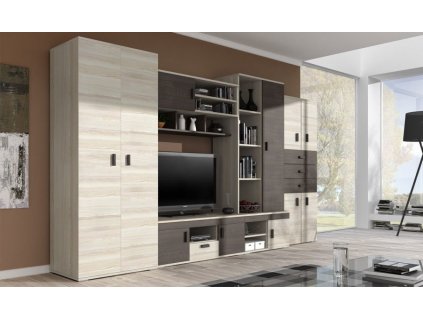 NELSON 1- bytová stěna s televizním stolkem- jasan / dub stříbrný/ zadní sololit bílá - (IZ) (NELLY 1=10 balíků)   (K150)