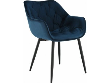 fedris kreslo modra hlavna