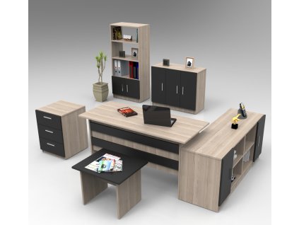 DZEMUL kancelářský set s regálem, dub/černá