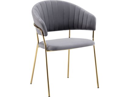 dasmin typ 1 sivohneda 01