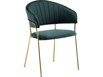 dasmin typ 1 zelena 01