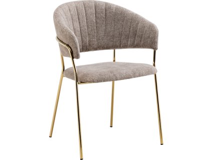 dasmin typ 1 hneda 01 dod